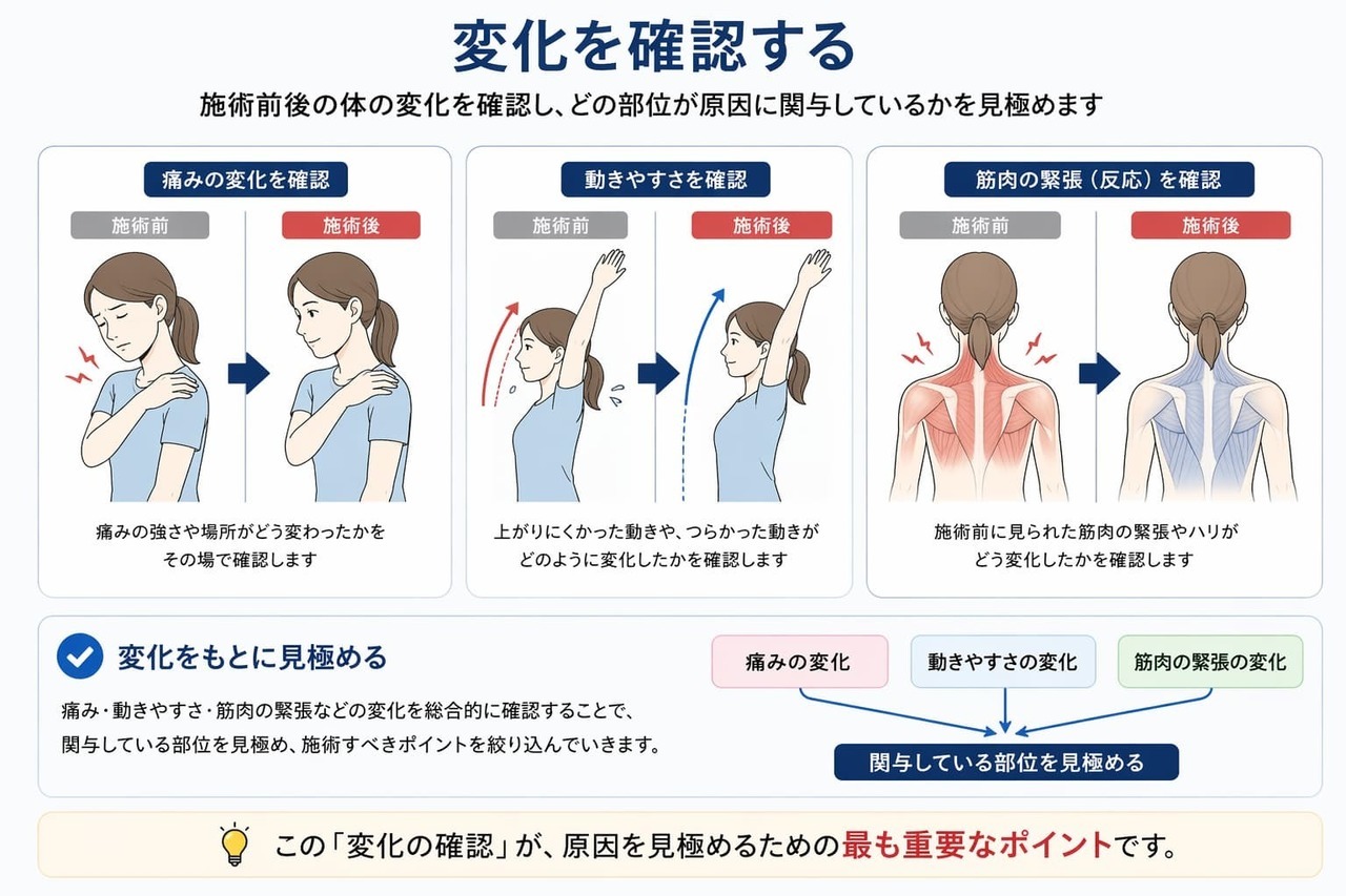 施術前後の筋肉の緊張や痛み・動きの変化を確認し、関与している部位を見極めていく当院の進め方の図