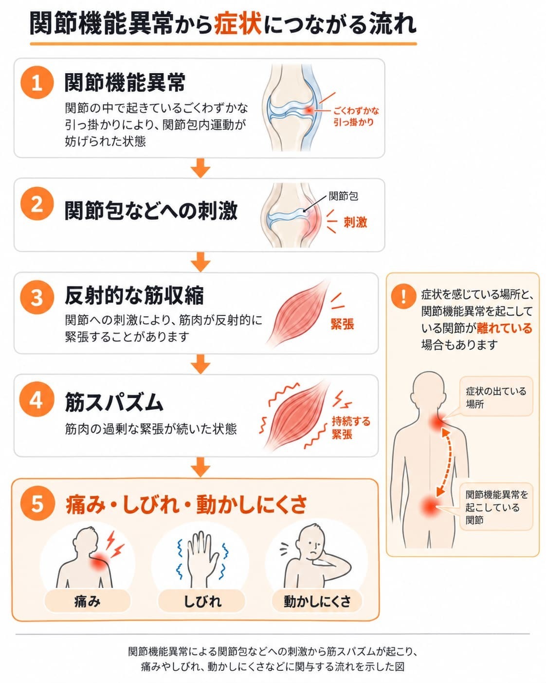 関節機能異常による関節包などへの刺激から筋スパズムが起こり、痛みやしびれ、動かしにくさなどに関与する流れを示した図。