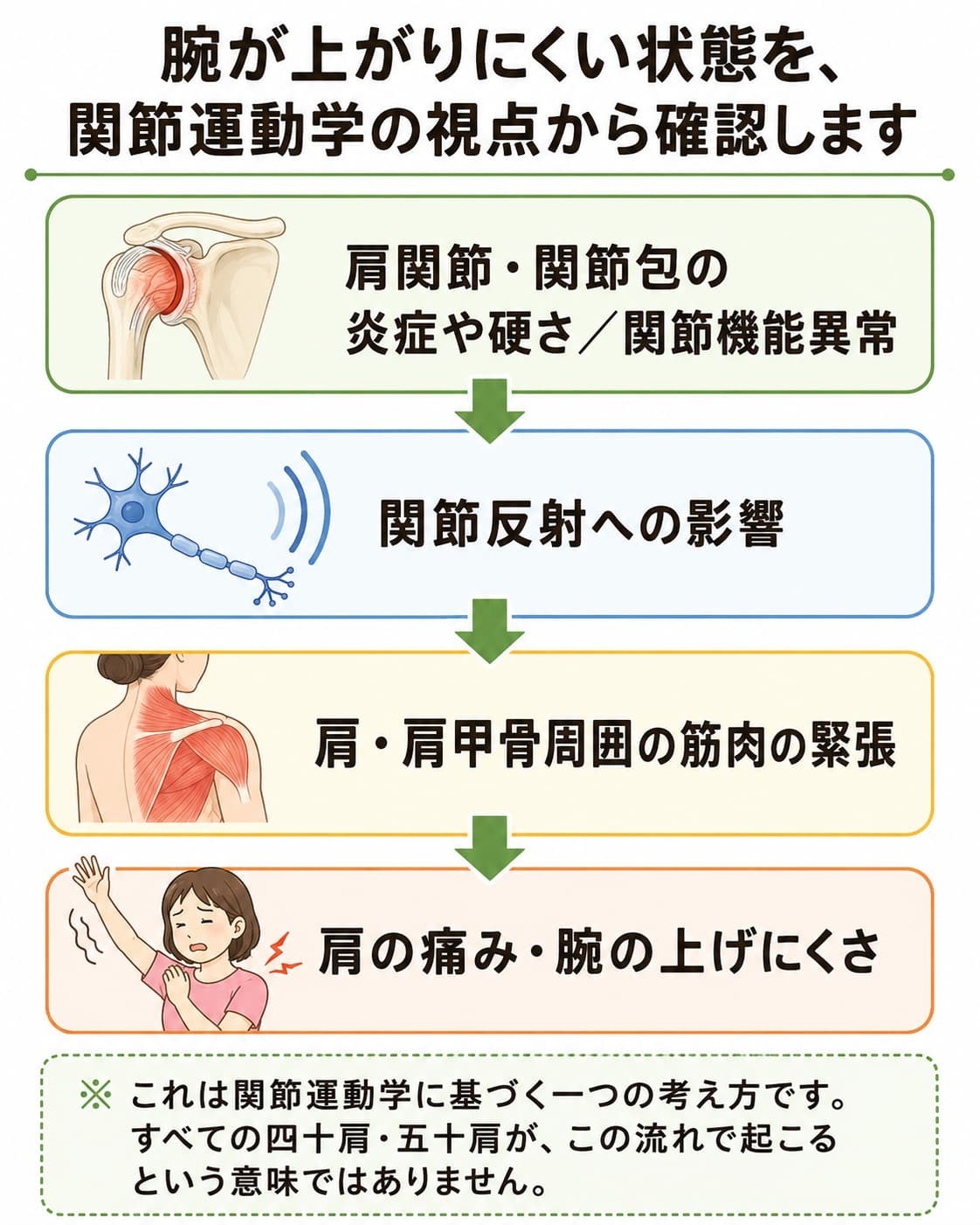 関節反射と筋肉の緊張が四十肩・五十肩の痛みに関与する流れ
