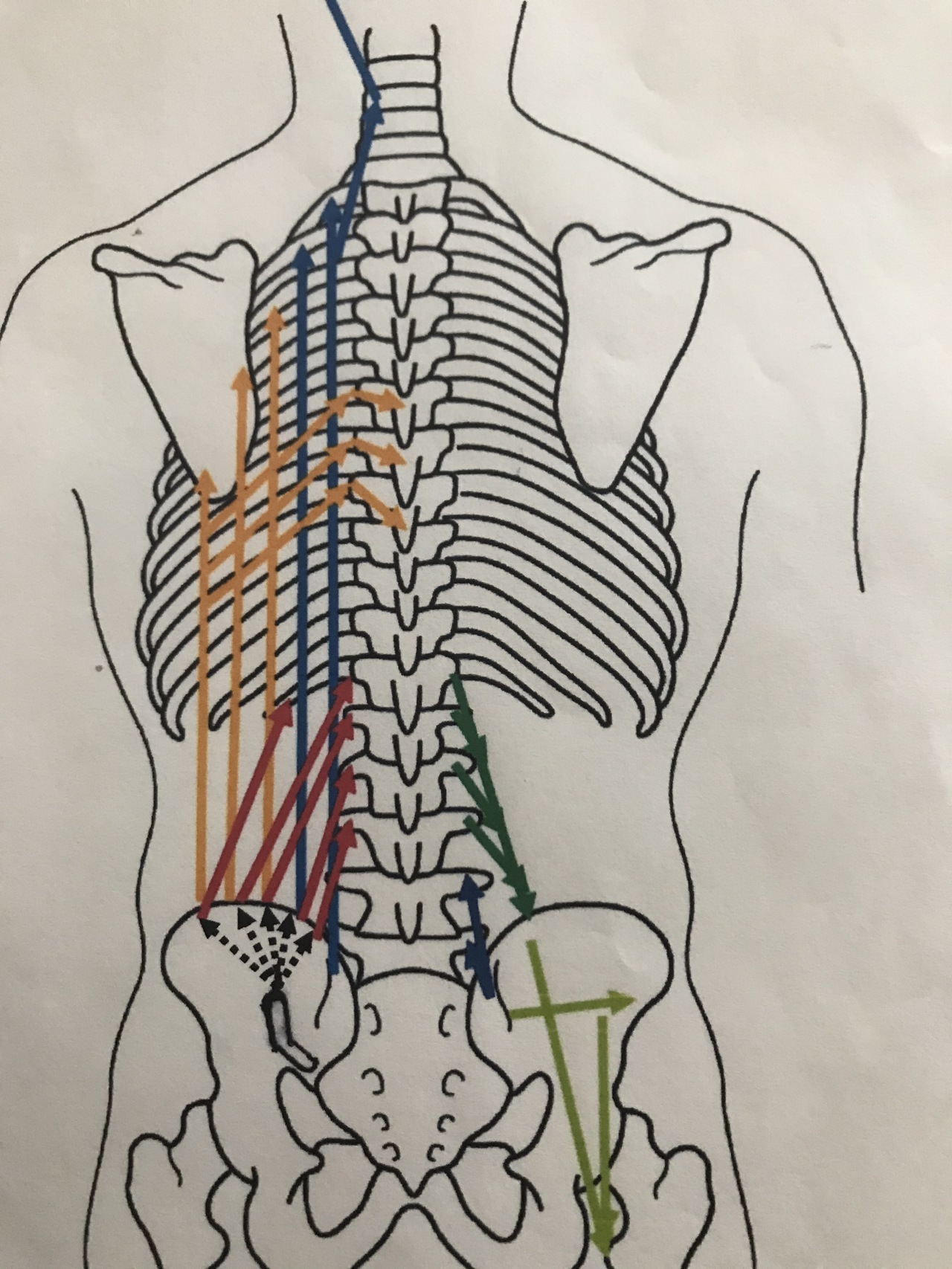 腰椎・仙腸関節が原因の腰痛