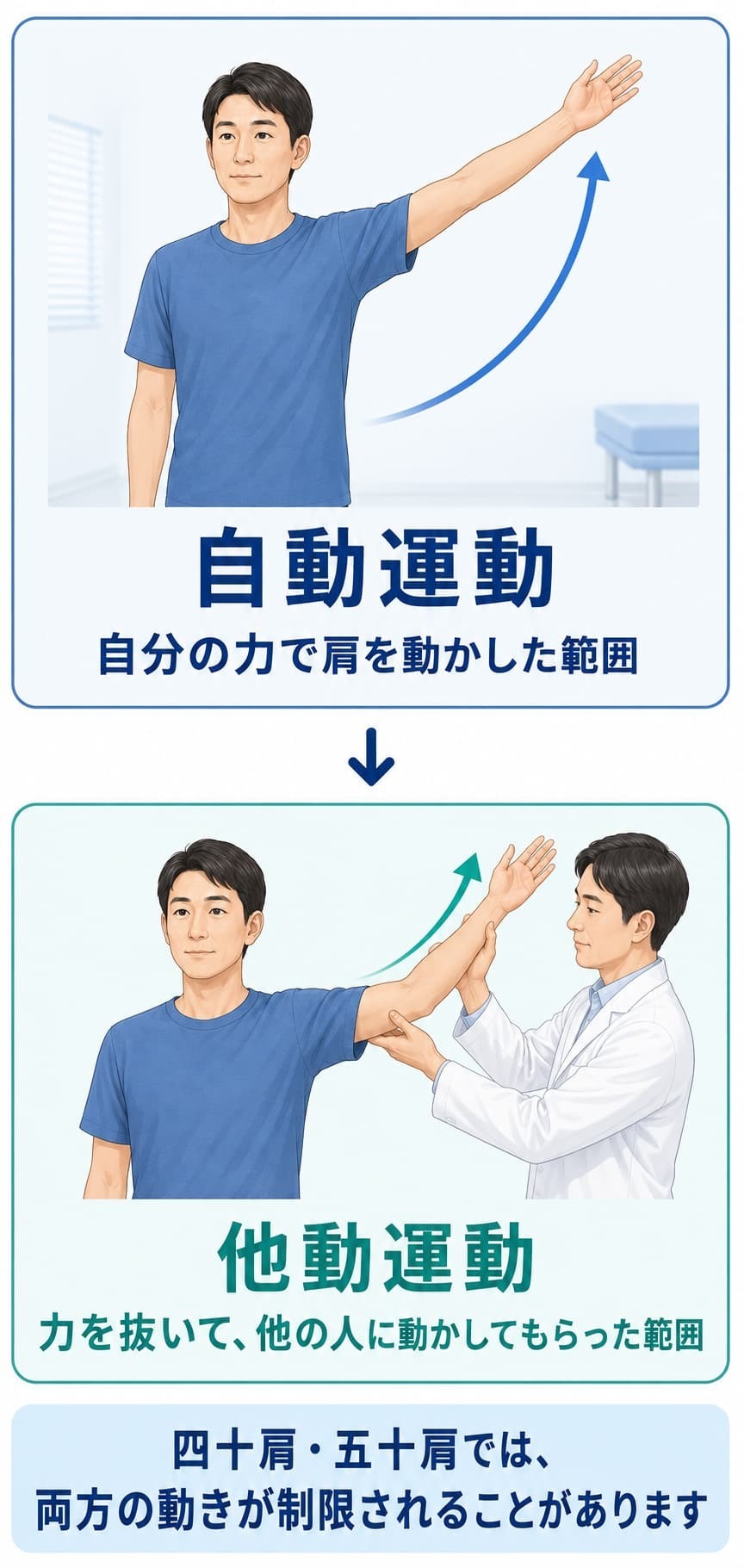 四十肩・五十肩の診察で確認する自動運動と他動運動の違い