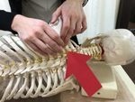 「鍼灸施術・関節調整（SCJM法）など当院の施術一覧」