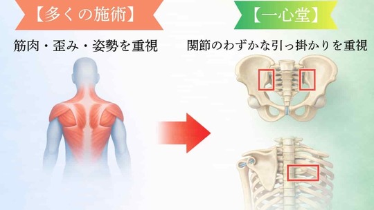 筋肉や姿勢だけでなく、仙腸関節や肋椎関節など関節の奥のわずかな動きまで評価する鍼灸整骨院一心堂の施術イメージ