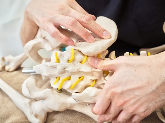 「鍼灸整骨院一心堂で使用する骨盤と腰椎の骨模型を使い、SCJM法による関節機能異常の説明を行っている様子。関節の奥のわずかな引っかかりをソフトに解除し、筋肉の過緊張や神経の圧迫によるしびれ、可動域制限の改善を目指す解説場面。