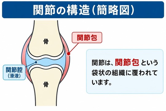 SCJM法とは｜姫路市の腰痛・手足の痛み・しびれ｜鍼灸整骨院一心堂