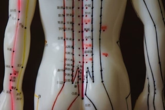背部の経絡とツボの位置を示した人体模型図。束中・腎兪・大腸兪など、腰痛に関連する代表的な経穴を示しています。