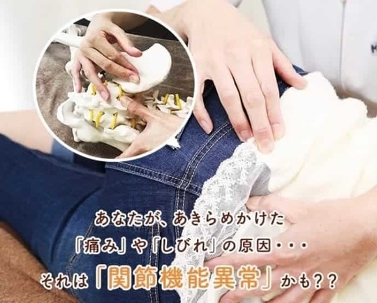 「姫路市の鍼灸整骨院一心堂での施術風景。腰の模型を用いて“関節機能異常”を説明しながら、骨盤や腰部に優しく手を添えて調整している様子。腰痛や坐骨神経痛など『痛みやしびれの原因は関節機能異常かも？』と伝えるイメージを表しています。」